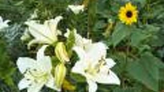 いつも気持ち良い時間が