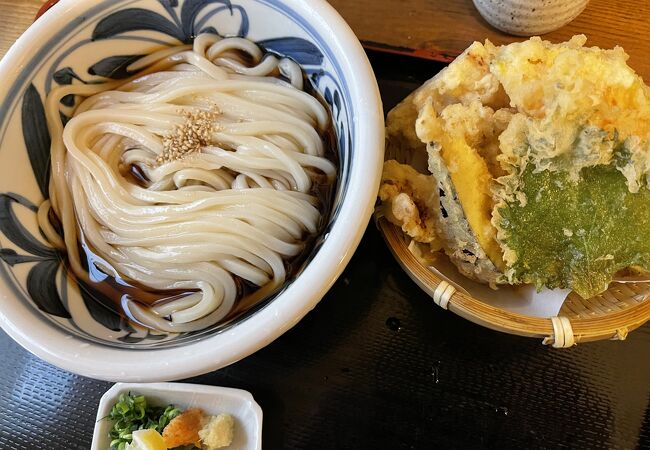 明るい店内で讃岐うどん