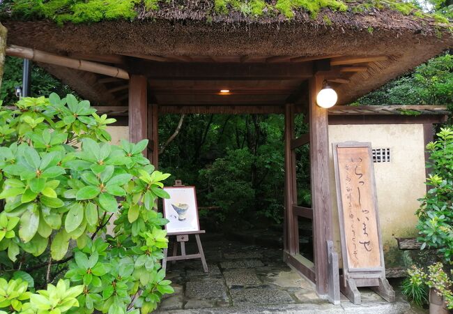 緑が目に優しい喫茶店