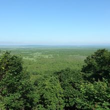 北側のサテライト展望台からの展望。木が育ってて視界は狭い。