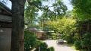 緑豊かな環境にあるお庭