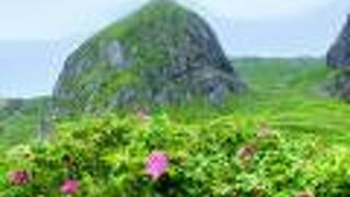 桃岩と猫岩を展望できます。