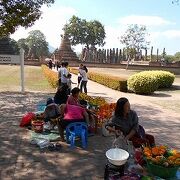 世界遺産の公園