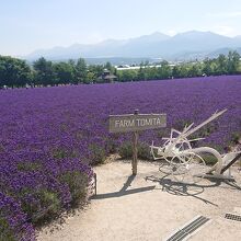 「倖の畑」にある看板。ここでの記念撮影が一番人気かも