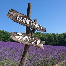 「トラディショナルラベンダー畑」にある看板も人気の場所