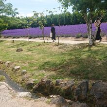 「倖の畑」の北側に「せせらぎの川」が流れています