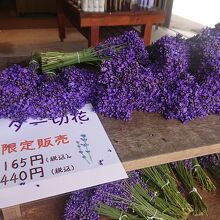 園内にお土産品、オリジナル商品など販売しているショップも有