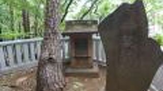 三代目の松には袈裟は掛けられそうにない