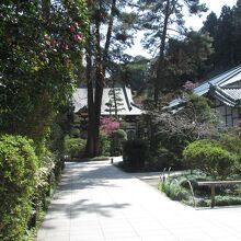 整備されて綺麗