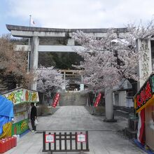 信夫山公園桜まつり