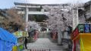 信夫山公園桜まつり