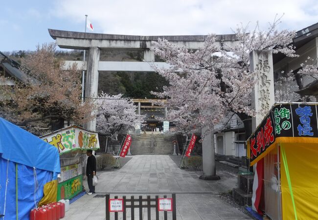 信夫山公園桜まつり