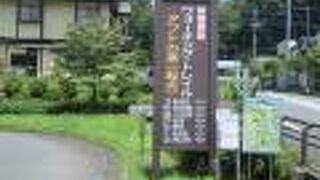 少しだけ歩いて見ました