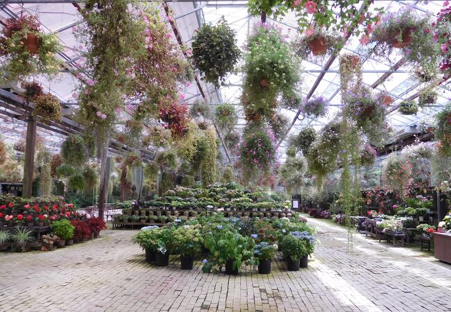 加茂荘花鳥園 クチコミ アクセス 営業時間 掛川 フォートラベル