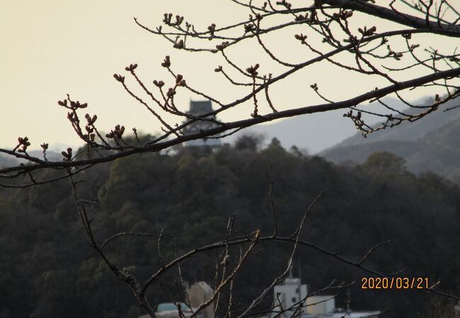 由緒ある神社