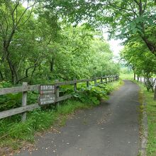 最初は遊歩道があります
