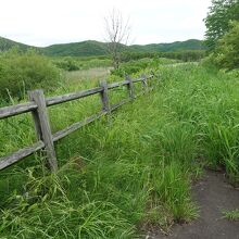 遊歩道はすぐに草に埋もれてしまいます