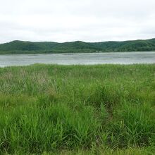 湖の周辺には美しい湿原もあります