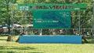 めまんべつ観光夏まつり 水上花火大会