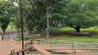 広くて綺麗です