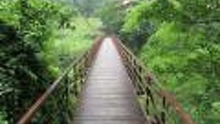 風情ある吊り橋