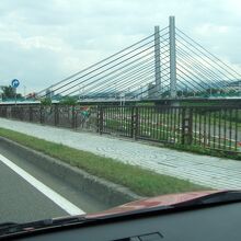 大きな斜張橋です