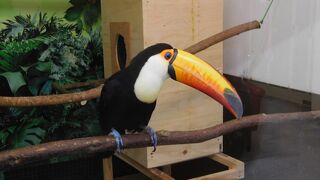 鳥と身近に触れ合える充実した場所