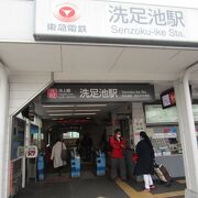 洗足池駅前の洗足池では、桜の時期には桜が満開でした。