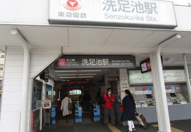 洗足池駅前の洗足池では、桜の時期には桜が満開でした。