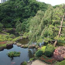 日本庭園が眺められます