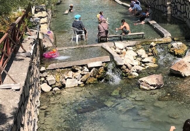 ドクターフィッシュがいることで有名な温泉