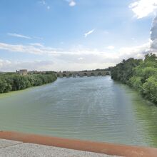 橋の上からの眺め