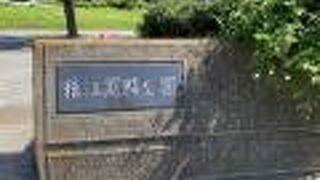 植物園のようです