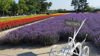 ここは夏のイチオシ!