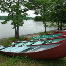 カヌーが流行ってるみたい