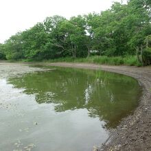 岬の向こう側へ行ってみる