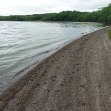 野生動物の足跡が残る湖岸