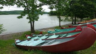 釧路湿原最大の湖。野生の雰囲気が残る湖の環境に少しホッとした。