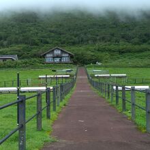 牧場から頂上を見上げた様子。雲、霧がすごい
