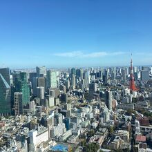 都心の街並を一望