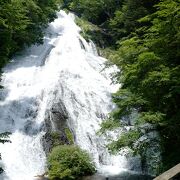 戦場ヶ原の奥にある、豪快に流れ落ちる滝。バリアフリー対応なのも注目すべきポイントでしょう。
