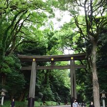 明治神宮の大鳥居