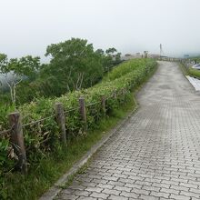 見学路は整備されてました