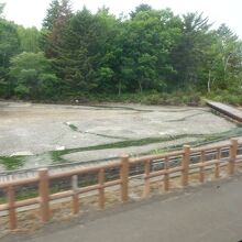 公園は湯の川まで続いています