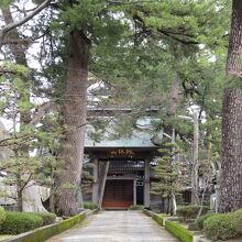 大木の中を進む参道