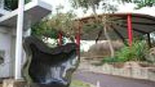 緑豊かな公園は那覇の「にゃんこスポット」です。