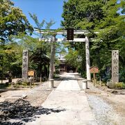 懐古園の本丸跡に建つ神社