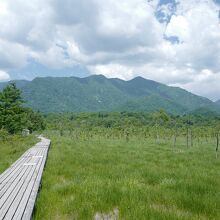 尾瀬に比べて湿原までのアップダウンが少なく、気軽に歩けます。