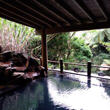 温泉野趣あふれる