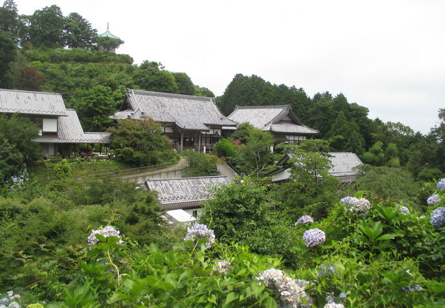 麻綿原高原